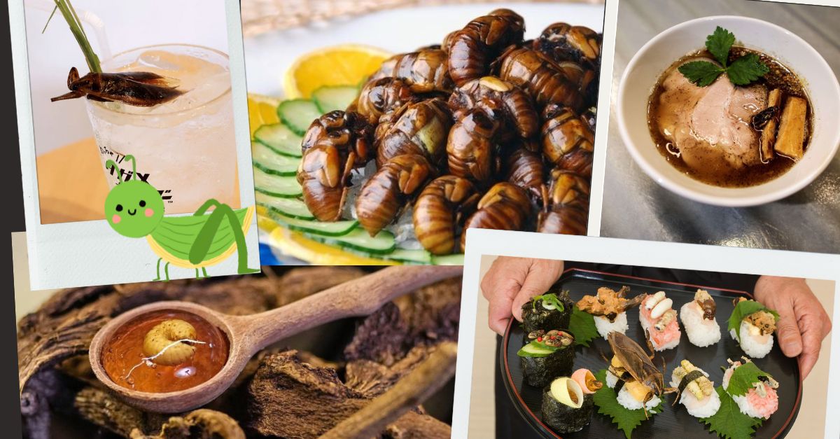 Thế giới ẩm thực côn trùng của người Nhật